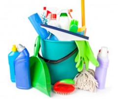 home cleaning products